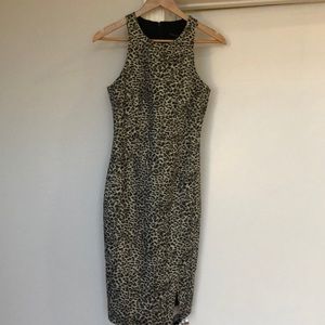 Brand new, never worn Banana Republic sheath dress in animal print, size 6.
